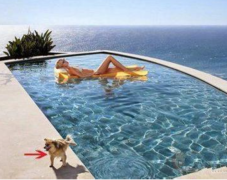 你炫富的地方只是我的尿盆