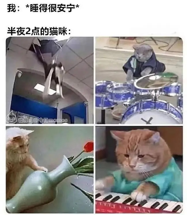 轻松一刻:有救了!原来腌制真的可以变硬! 轻松一刻:有救了!原来腌制真的可以变硬!