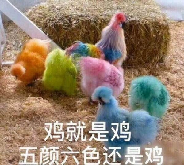 轻松一刻:有救了!原来腌制真的可以变硬! 轻松一刻:有救了!原来腌制真的可以变硬!