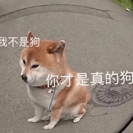 轻松一刻:有救了!原来腌制真的可以变硬! 轻松一刻:有救了!原来腌制真的可以变硬!