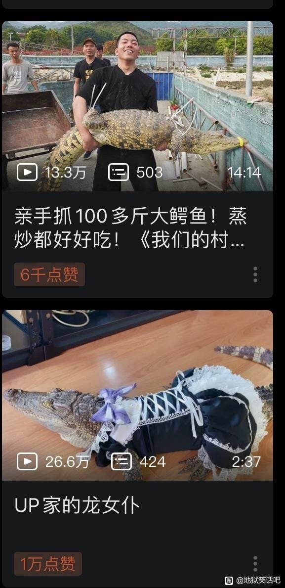 轻松一刻:有救了!原来腌制真的可以变硬! 轻松一刻:有救了!原来腌制真的可以变硬!