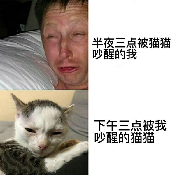 轻松一刻:有救了!原来腌制真的可以变硬! 轻松一刻:有救了!原来腌制真的可以变硬!