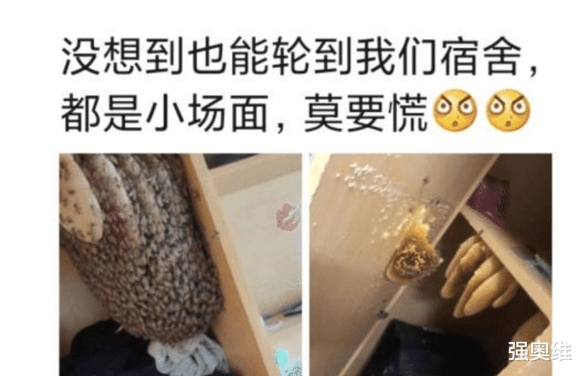 “女朋友的纹身很隐蔽,让我不要担心!” “女朋友的纹身很隐蔽,让我不要担心!”
