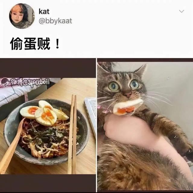 神回复:历史上有哪两件事听起来不在一个年代,实际上同时发生的 神回复:历史上有哪两件事听起来不在一个年代,实际上同时发生的
