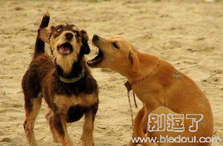 你到底爱不爱我！爱不爱我！！