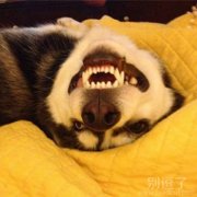看这妥妥的表情帝