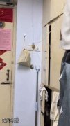 有点智慧在身上