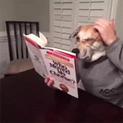 狗头人身的家伙正在看书学习