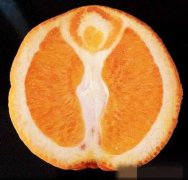 这就是传说中的圣女果！