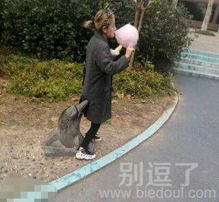 小海豚你吃啥呢？