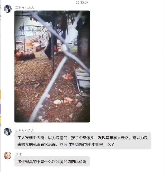 轻松一刻:这年头,就连老鼠都知道囤现金流了 轻松一刻:这年头,就连老鼠都知道囤现金流了