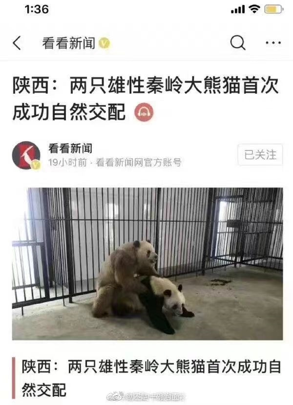 轻松一刻:这年头,就连老鼠都知道囤现金流了 轻松一刻:这年头,就连老鼠都知道囤现金流了