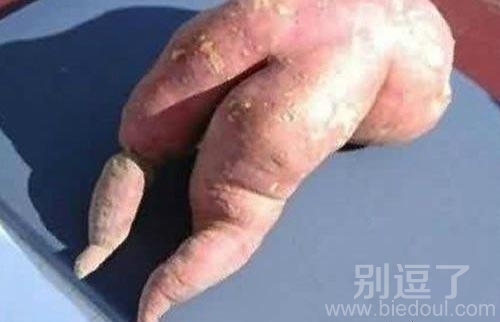实在把持不住啊！