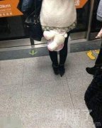 连个布娃娃都不放过吗