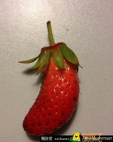 这难道是茄子草莓
