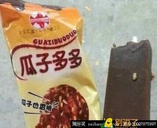 传说中的瓜子多多 传说中的瓜子多多