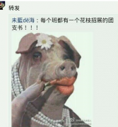 你这是在玩哪一处 你这是在玩哪一处