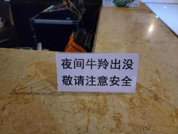 轻松一刻:手工技能满分,这都能包得住…… 轻松一刻:手工技能满分,这都能包得住……