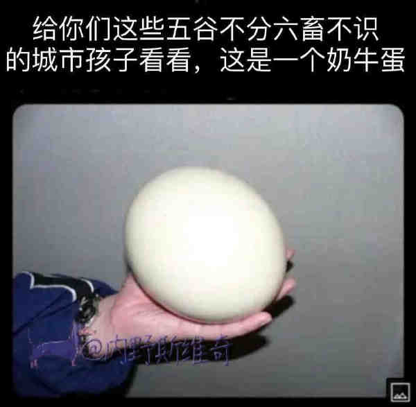 轻松一刻:手工技能满分,这都能包得住…… 轻松一刻:手工技能满分,这都能包得住……