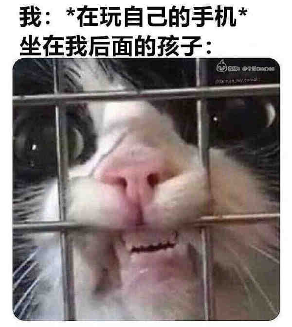 轻松一刻:手工技能满分,这都能包得住…… 轻松一刻:手工技能满分,这都能包得住……