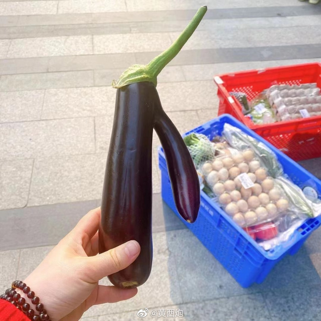 轻松一刻:手工技能满分,这都能包得住…… 轻松一刻:手工技能满分,这都能包得住……