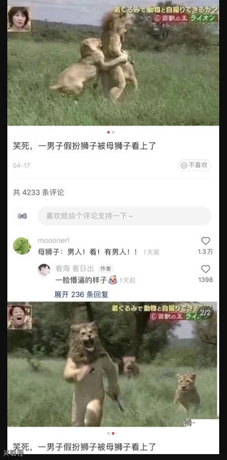 为什么要追我 为什么要追我