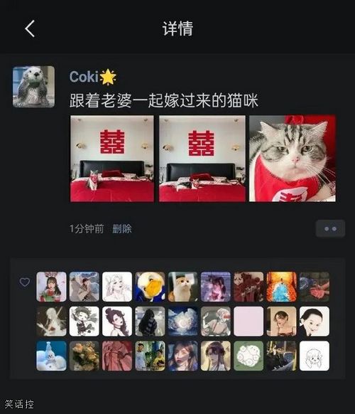 跟着主人陪嫁的小猫咪! 跟着主人陪嫁的小猫咪!