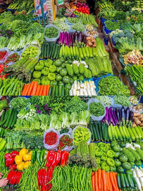 这是不花钱能看的吗? 这是不花钱能看的吗?