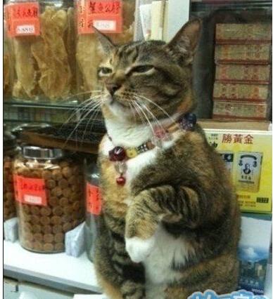 替身没有了只有自己上的了 替身没有了只有自己上的了