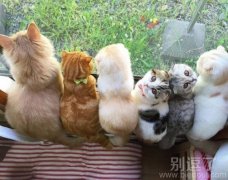 就这样背对背拥抱