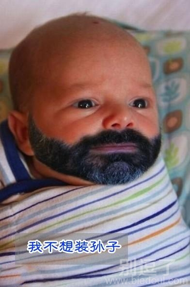 我真的不想装孙子