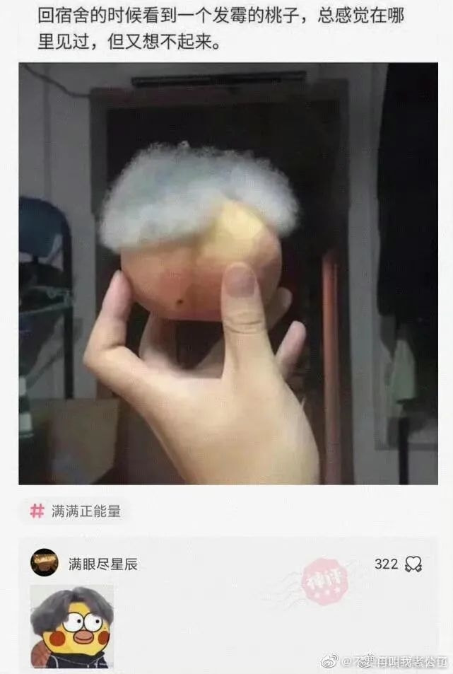 轻松一刻:我妈问我,为啥要对着西瓜籽拍照? 轻松一刻:我妈问我,为啥要对着西瓜籽拍照?