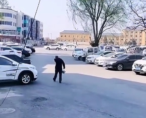 轻松一刻:我妈问我,为啥要对着西瓜籽拍照? 轻松一刻:我妈问我,为啥要对着西瓜籽拍照?