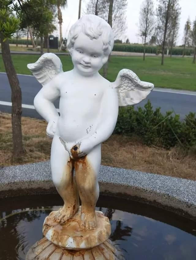 轻松一刻:我妈问我,为啥要对着西瓜籽拍照? 轻松一刻:我妈问我,为啥要对着西瓜籽拍照?
