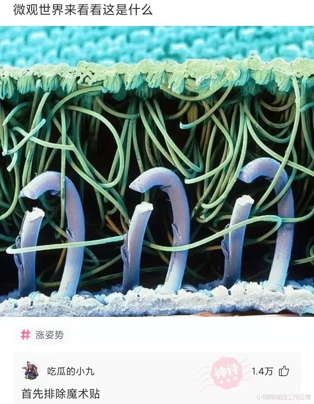“住在这样的楼里,我需要注意点什么?”你爸是开发商? “住在这样的楼里,我需要注意点什么?”你爸是开发商?