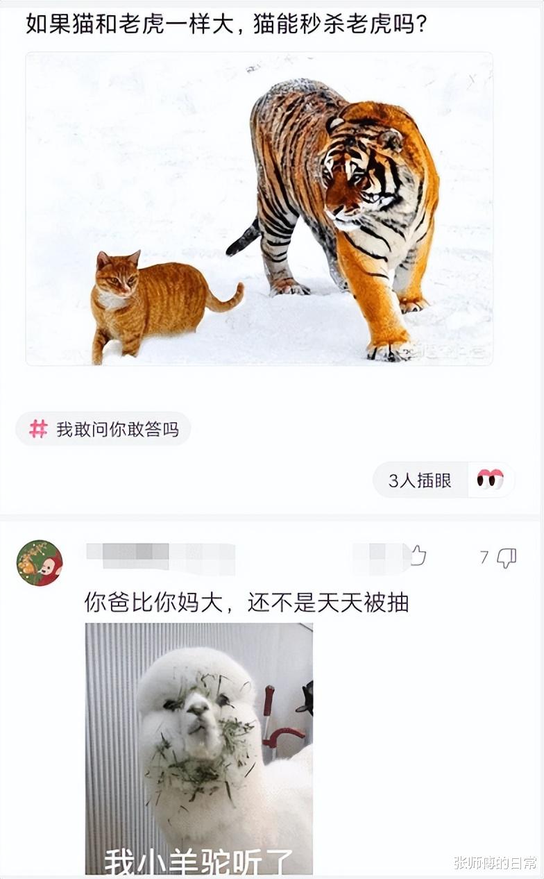 “如果猫和老虎一样大，猫能秒杀老虎吗？”网友神比喻~