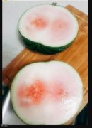 冤种西瓜 冤种西瓜