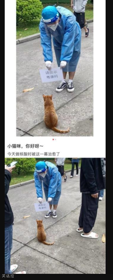 喵:有小鱼干吗 喵:有小鱼干吗