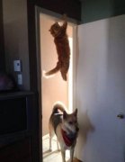 哎呀我去，真的是惊呆了