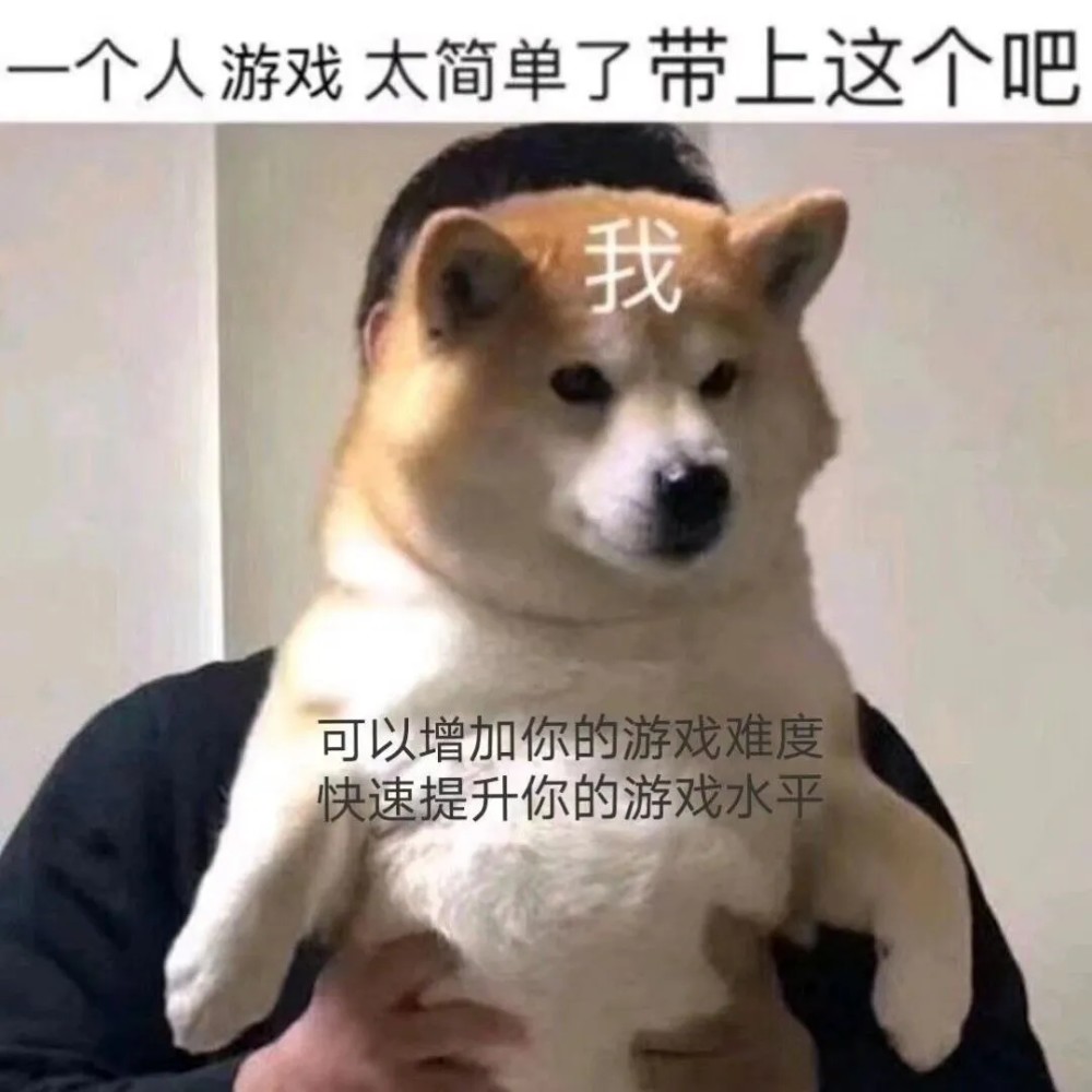 今日份快乐:左青龙 今日份快乐:左青龙