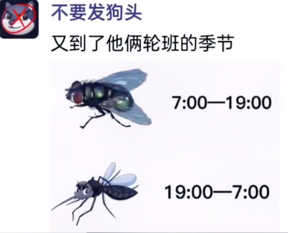 今日份快乐：左青龙