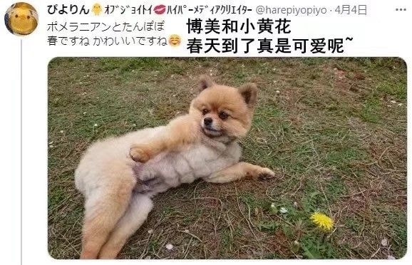 今日份快乐：左青龙