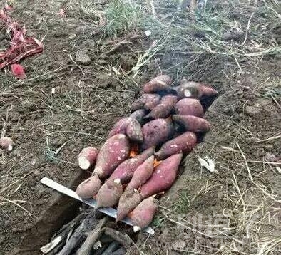 这样烤能不能熟呀 这样烤能不能熟呀