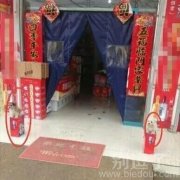 这俩狮子狗真霸气 这俩狮子狗真霸气