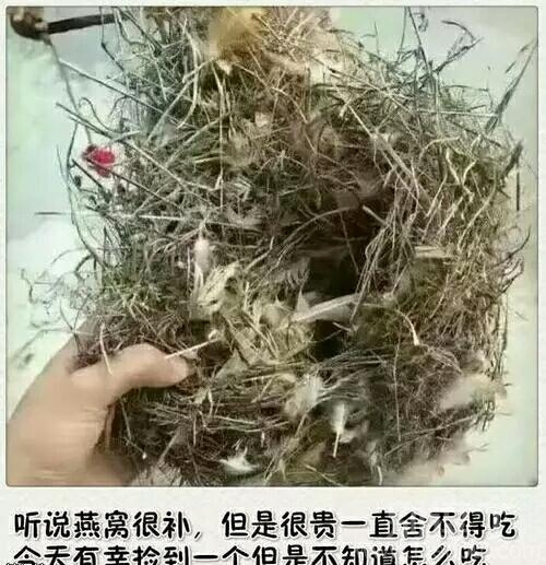 骚年,你吃的太奢侈了 骚年,你吃的太奢侈了