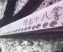 降龙十八掌送你回香港