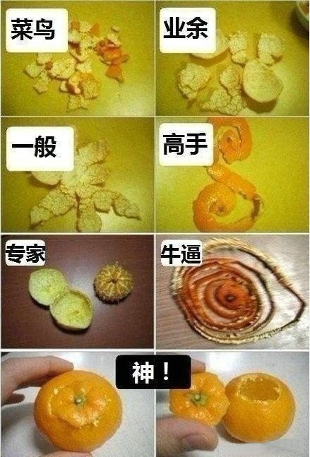 世界万物,都是搞笑的源泉。