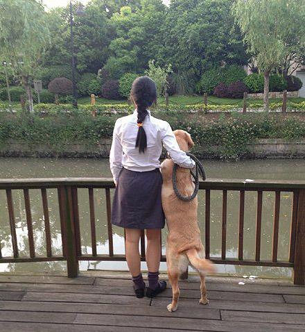 狗与单身妹子,,, 狗与单身妹子,,,