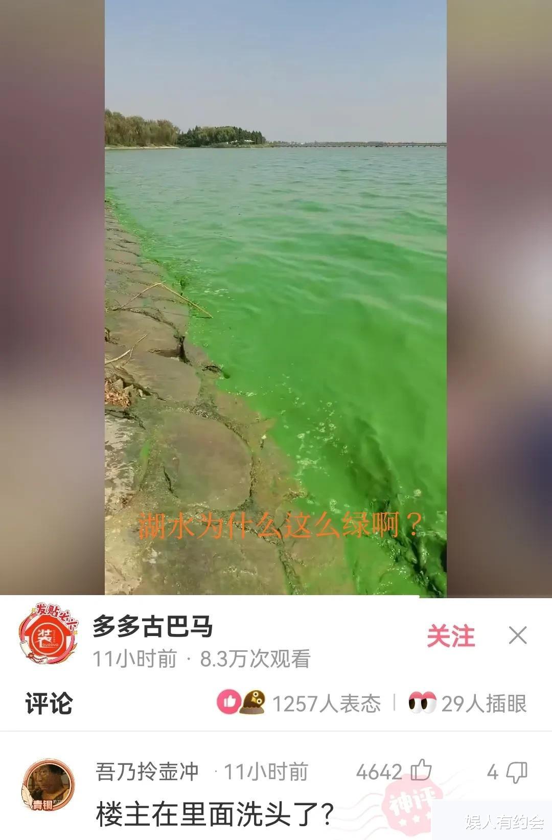 神回复:第一次聘请保姆,我应该选择哪一个呢?神评亮了 神回复:第一次聘请保姆,我应该选择哪一个呢?神评亮了