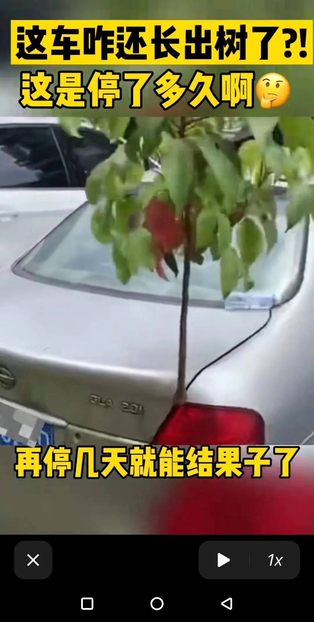这种聚会千万别参加了!一觉醒来里外都疼......采票投稿7.0~ 这种聚会千万别参加了!一觉醒来里外都疼......采票投稿7.0~
